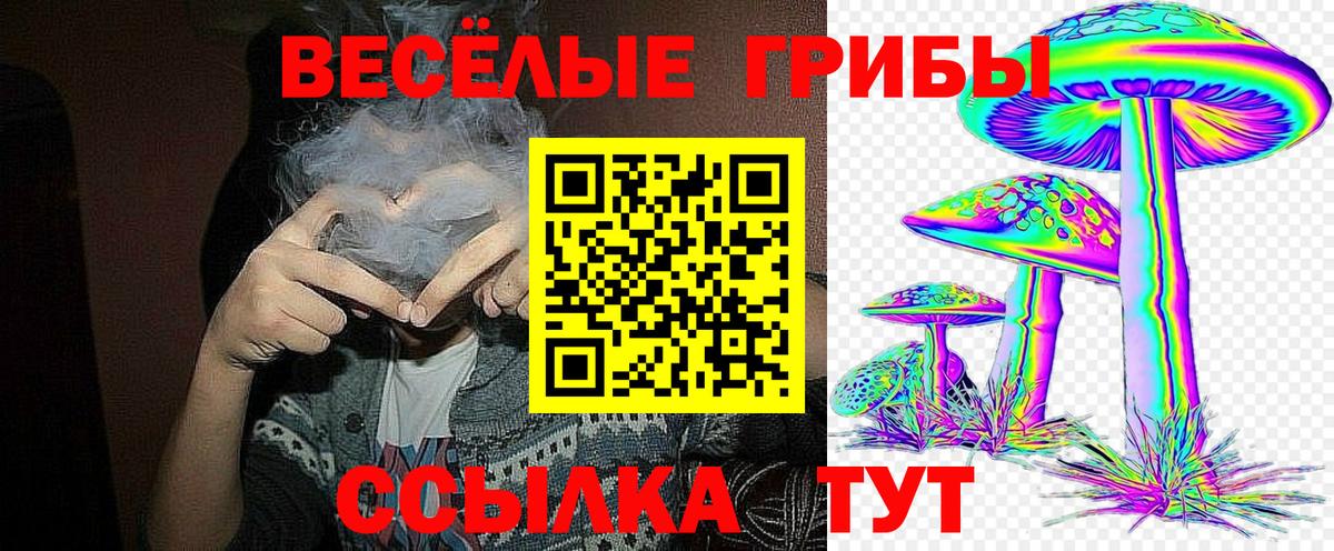 даркнет сайт  Вход с VPN  Назарово  Галлюциногенные грибы Psilocybe 